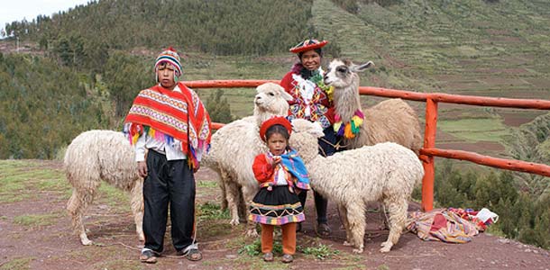Perhe Perussa