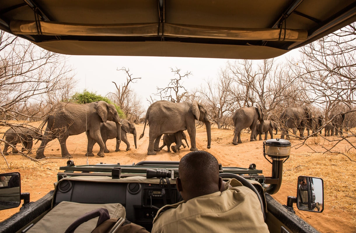 Suositut safarikohteet