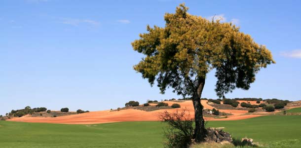 Espanjan Castilla la Mancha