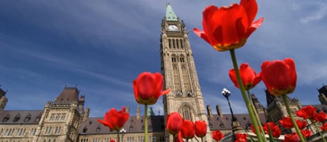 Kanada Tulip Festival