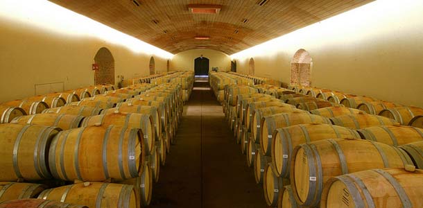 Viinikellari Chilessä