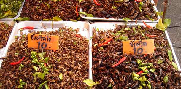 Hyönteisruokaa Thaimaassa