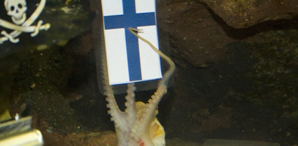 Mustekala ennustaa: Suomelle MM-voitto