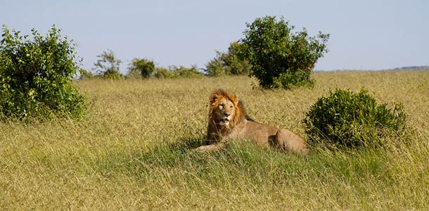 Tutustumisen arvoiset safarikohteet