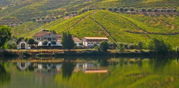 Pohjois-Portugali kiinnostaa viinimatkailijoita
