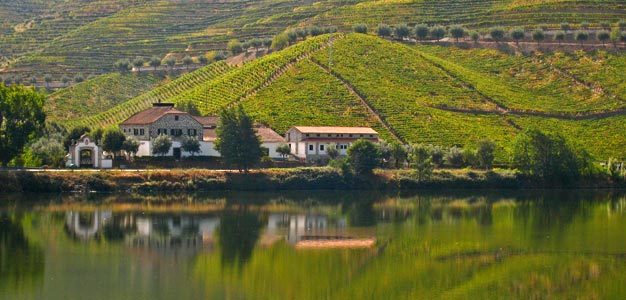 Pohjois-Portugali kiinnostaa viinimatkailijoita