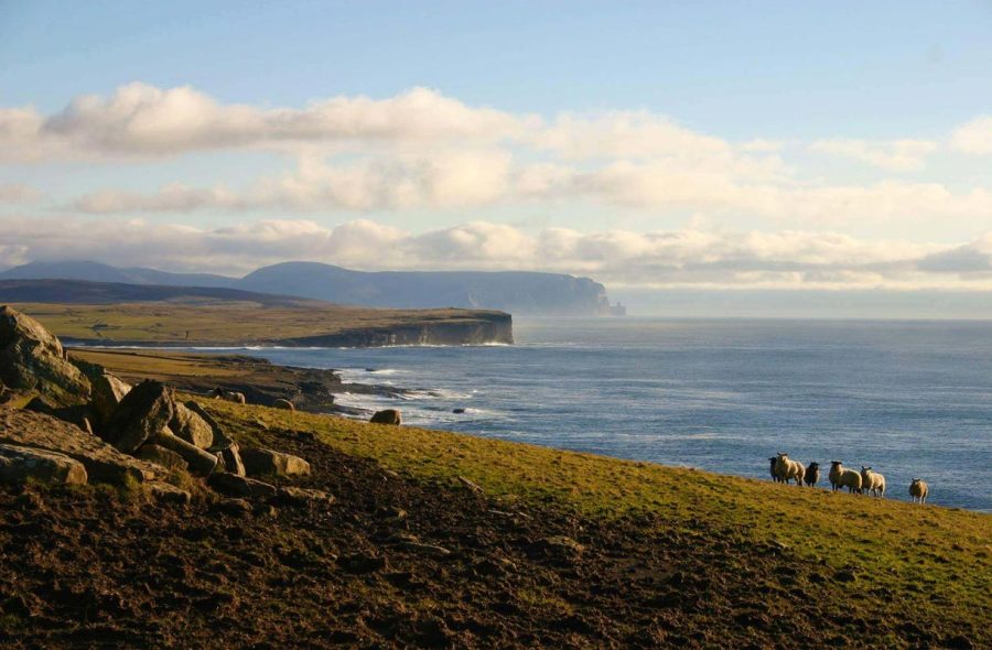 Skotlannin Orkney-saaret