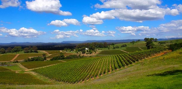 Viinimatka Australiaan