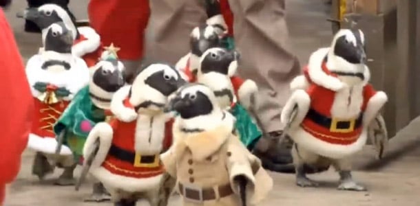 Pingviinien jouluparaati