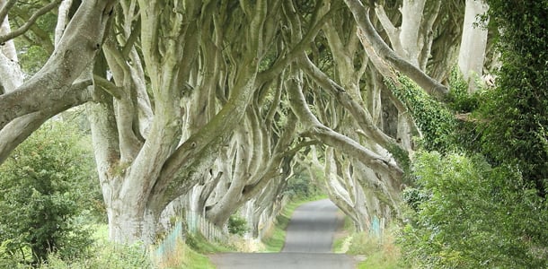 Pohjois-Irlannin komein tie