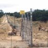 Kyseenalainen metsästysturismi lisääntyy - saako Afrikan-loman kohokohta olla leijonan ampuminen?
