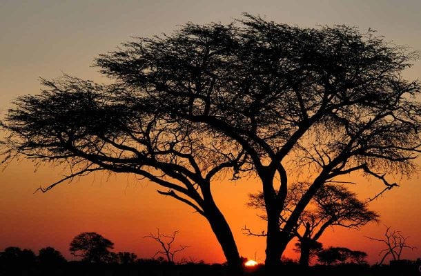 zimbabwe-auringolasku-Flickr-Jason-Wharam