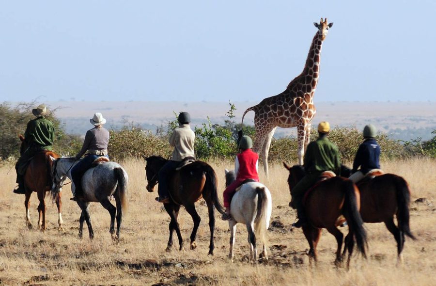 Hevossafari Keniassa