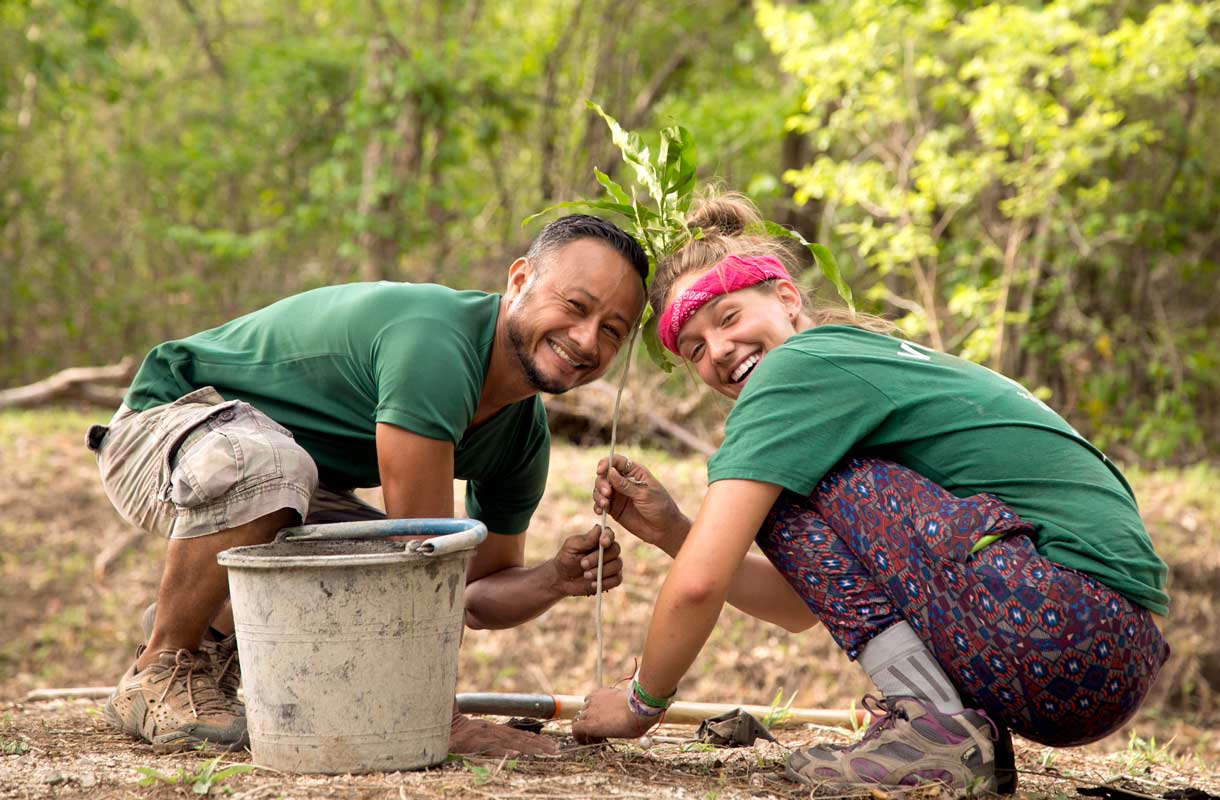 Volunteers help animals. Посадка деревьев в тропиках. Человек спасает природу. Conservation Volunteers. Посадка тропических лесов.