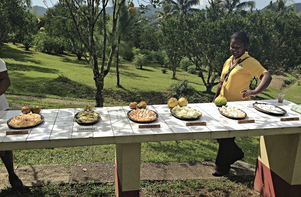 Tuoreita hedelmiä Jamaikalla