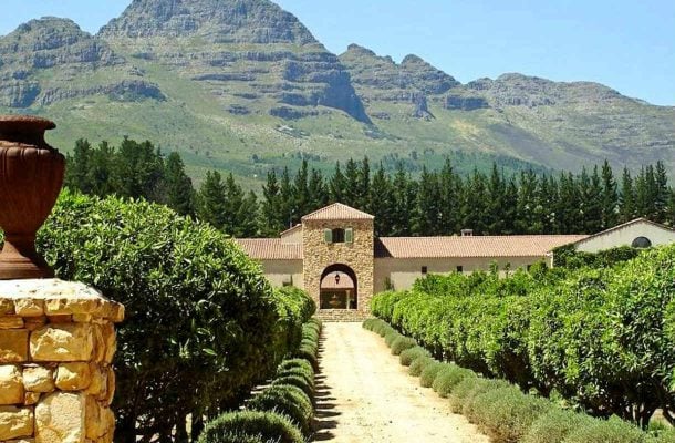 Tutustu viineihin Etelä-Afrikassa