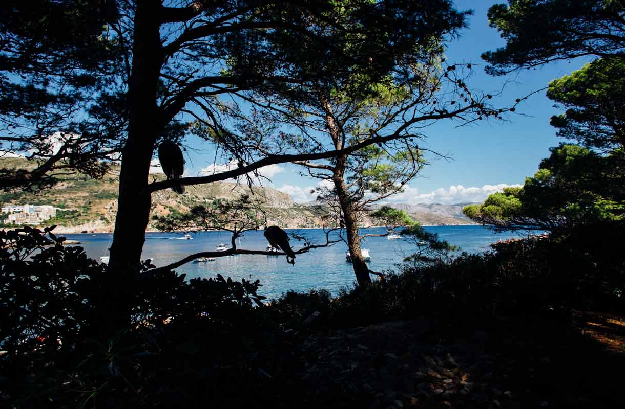 Lokrum, Kroatia