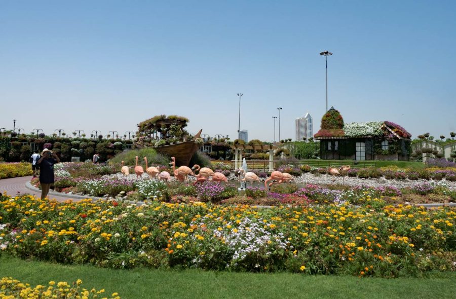 Dubain Miracle Garden -puutarha
