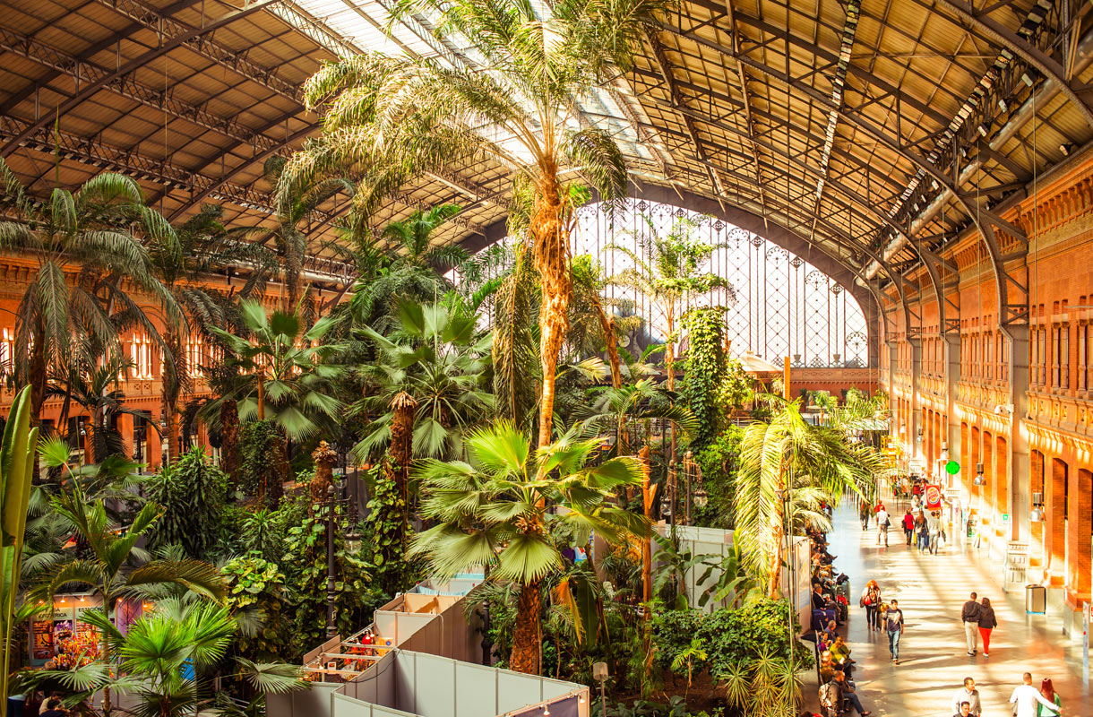 Tässä on Espanjan upein rautatieasema - kun kiiruhdat junaan, löydät trooppisen viidakon