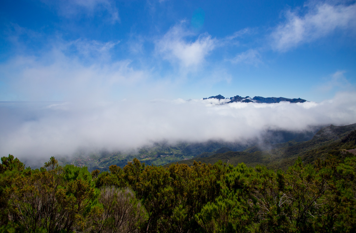 Madeira, Portugali