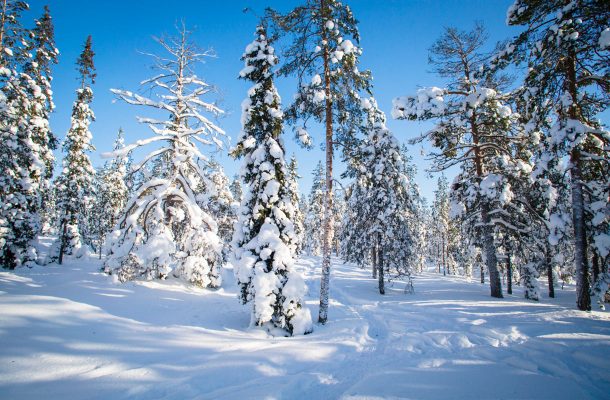 Talvi Rovaniemellä