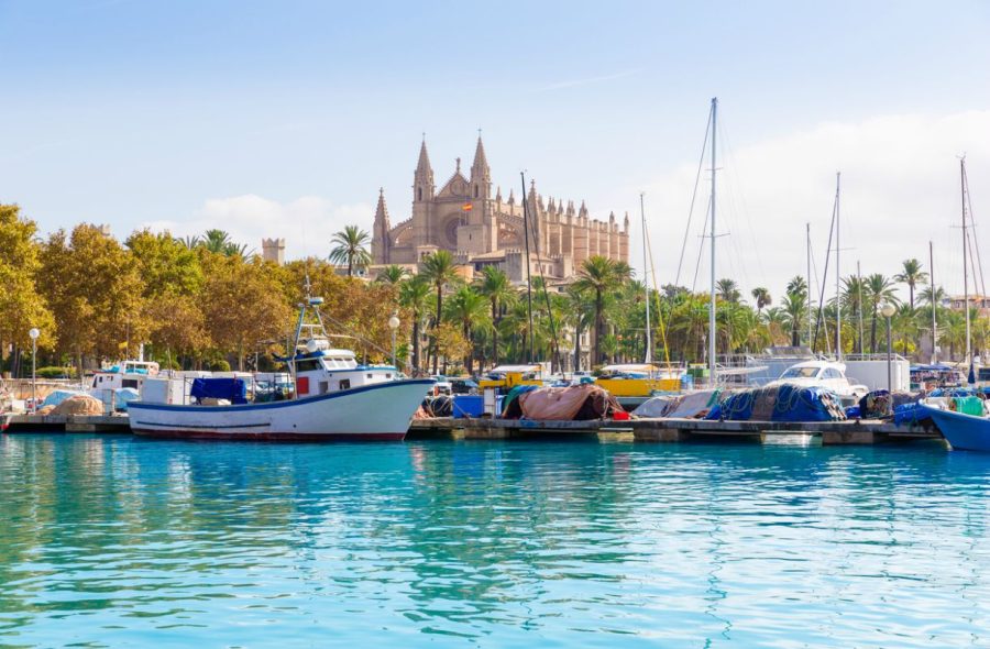 La Seun katedraalin kattoterassille pääsee vierailemaan Palmassa
