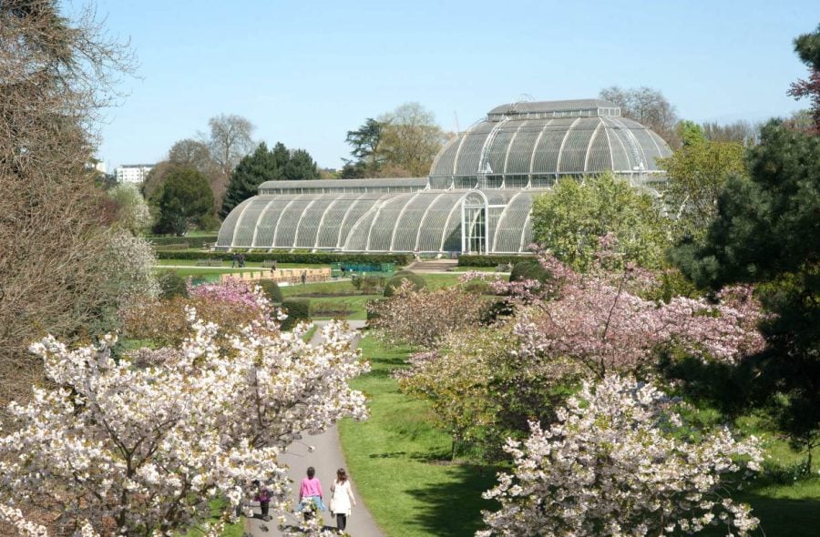 Kew Gardens on houkutteleva retkikohde Lontoosta