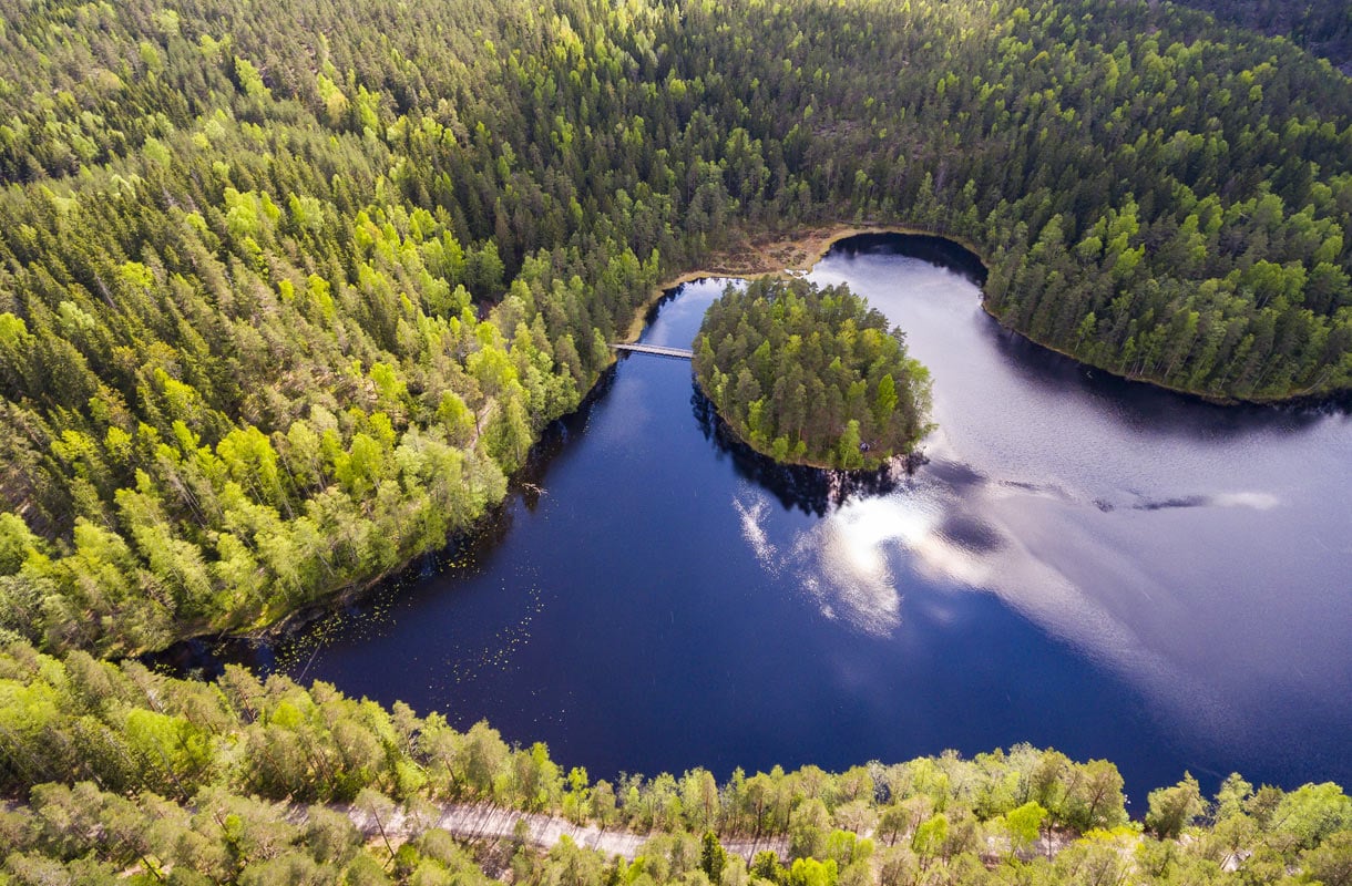 Suomen kansallispuistot - esittelyssä viisi suosituinta