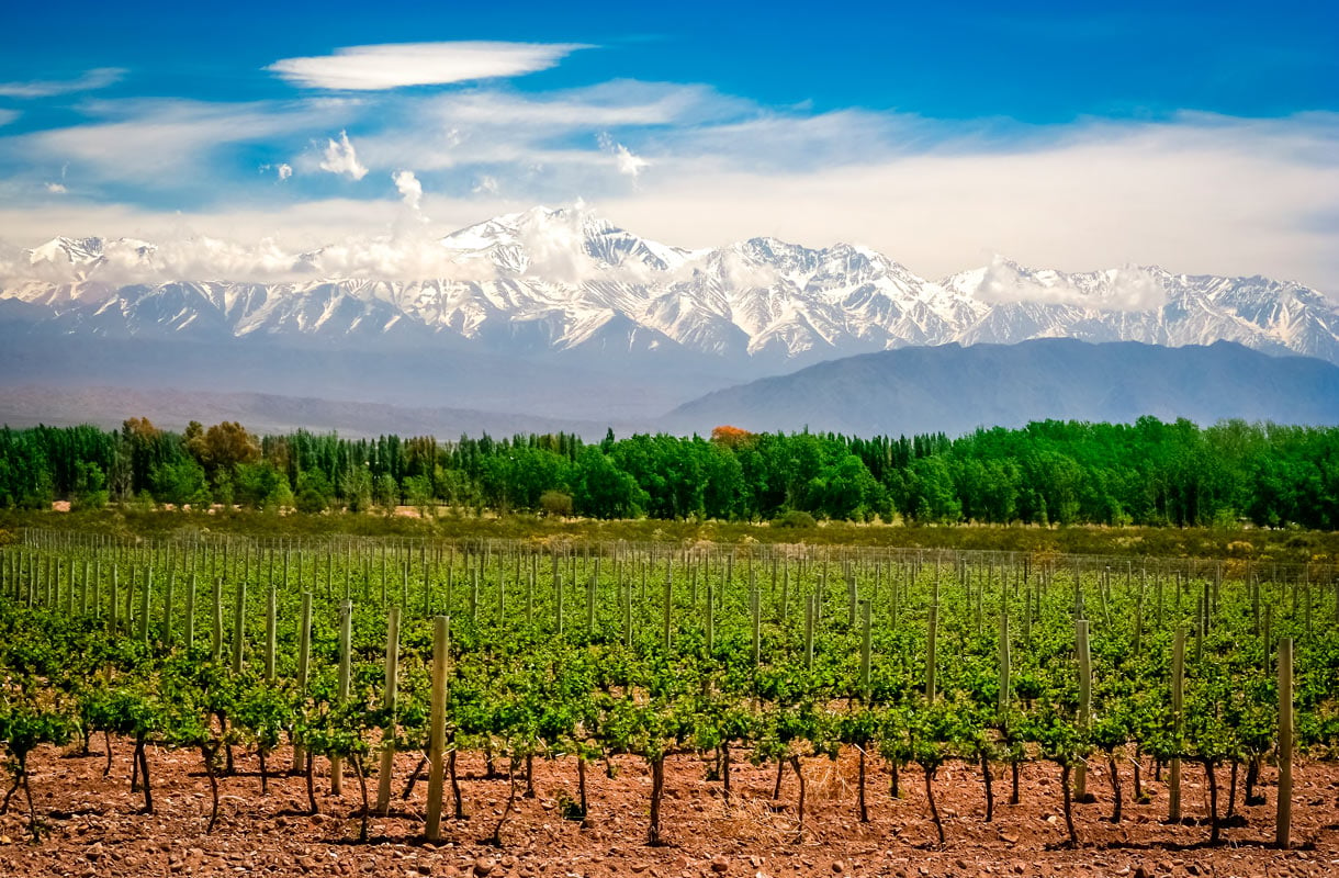 Unohtumaton viinimatka Argentiinassa - tällainen kohde on punaviineistä tunnettu Mendoza