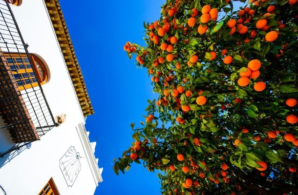 Kaikissa näissä kaupungeissa voit käydä Espanjan Aurinkorannikolta käsin – Málaga ja 5 muuta