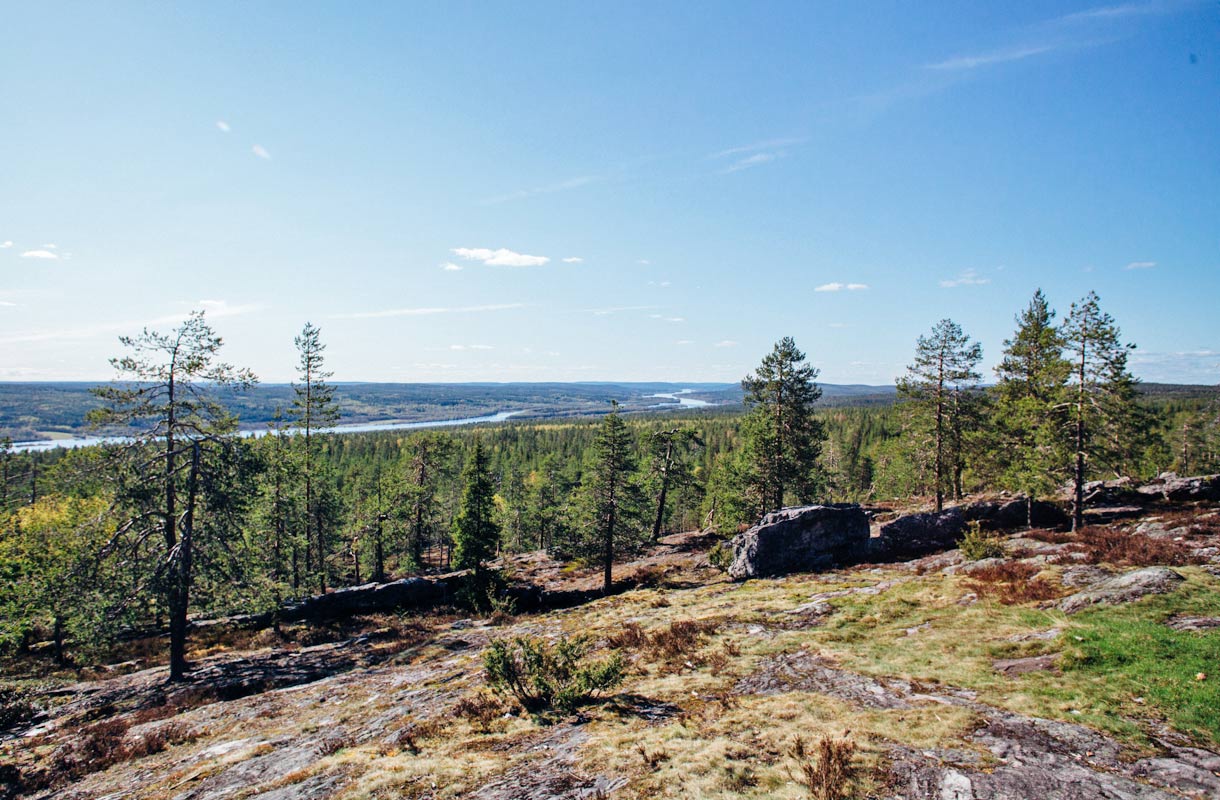 Kuninkaanlaavu, Rovaniemi