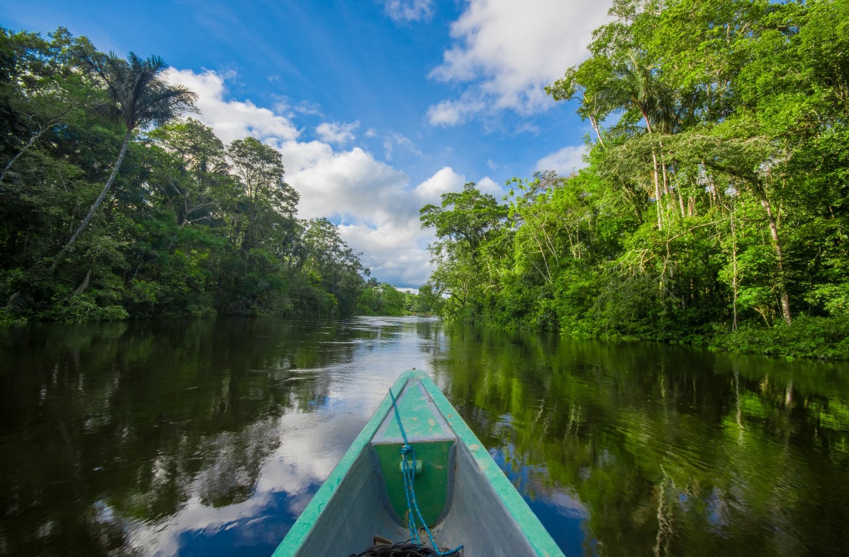 Amazon, Ecuador