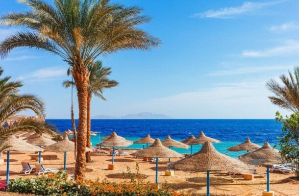 Sharm el Sheikhin palmuranta Egyptissä