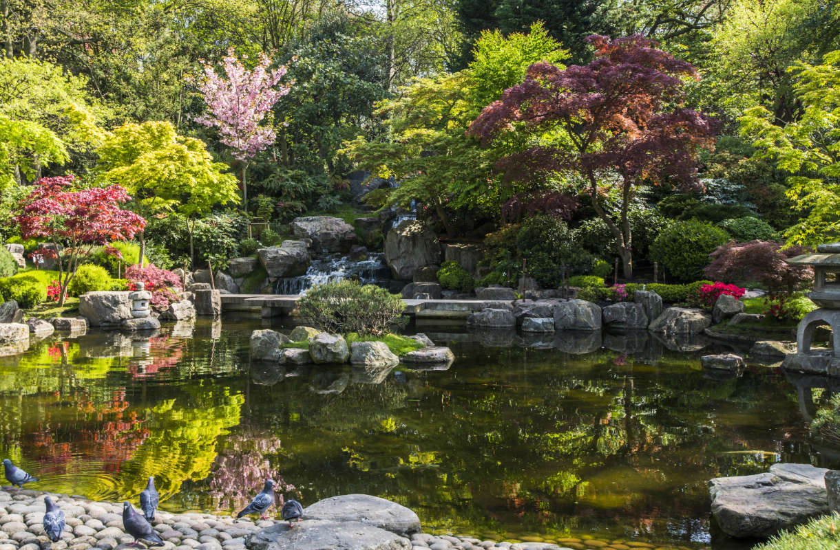 Kyoto Garden Lontoossa
