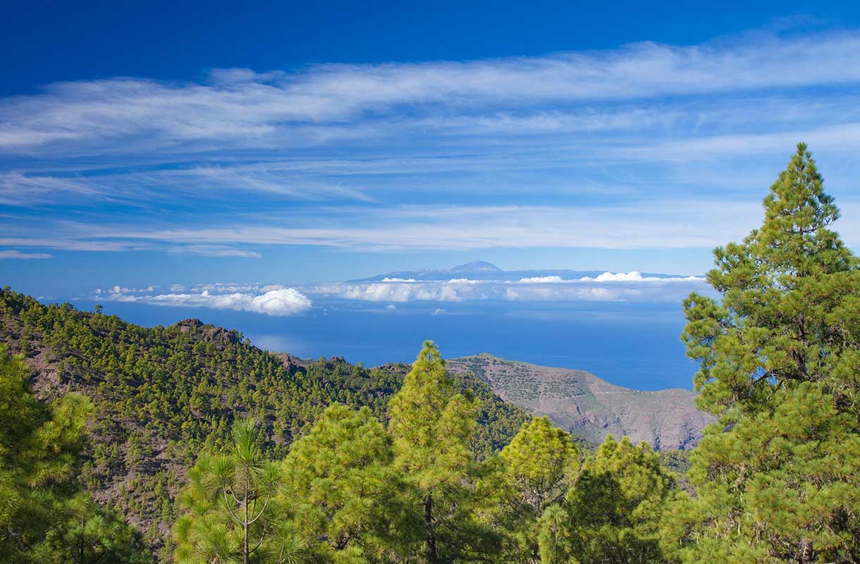 Gran Canaria Tamadaban luonnonpuisto