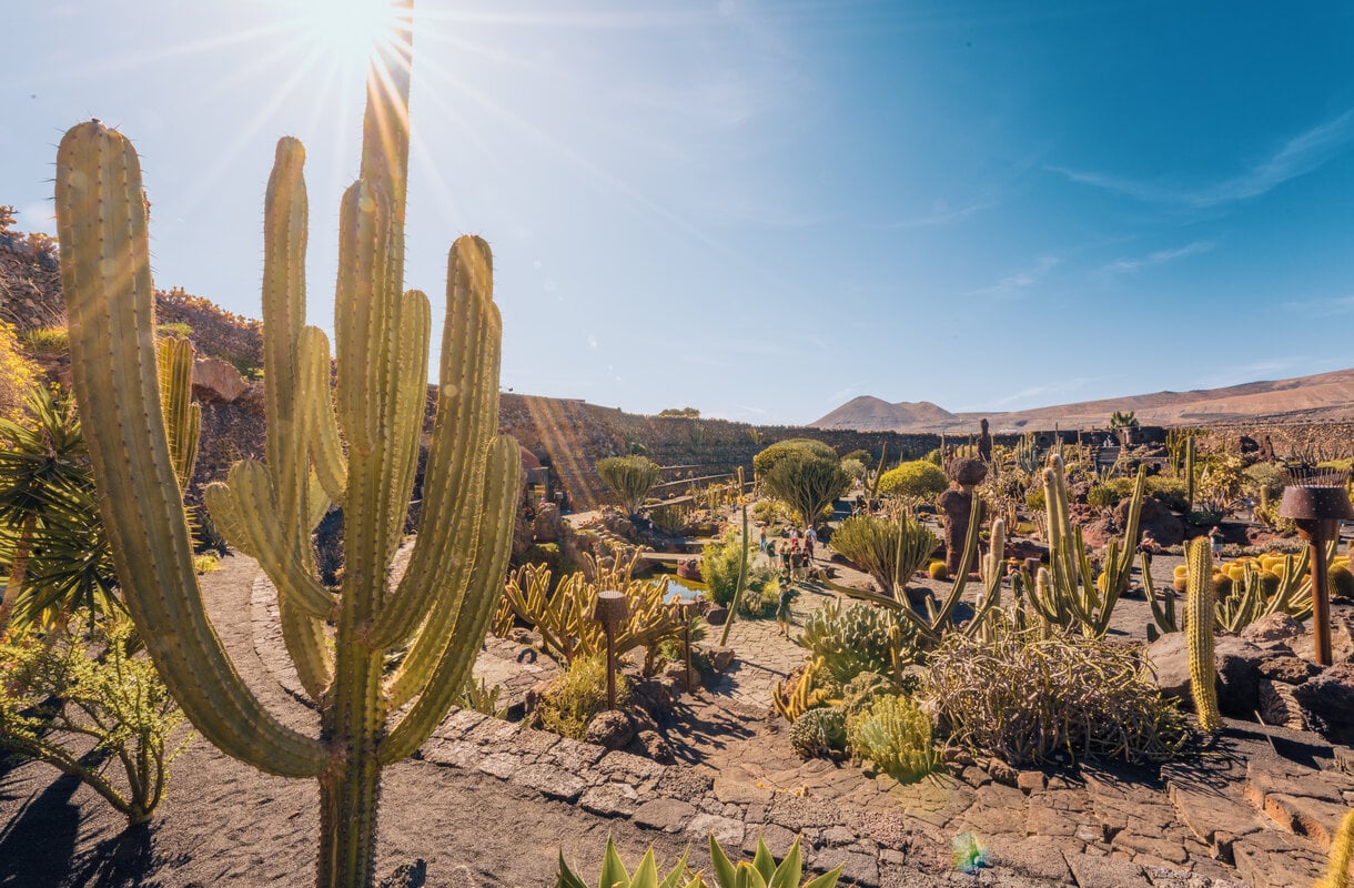 Lanzaroten kaktuspuutarha Jardin de cactus
