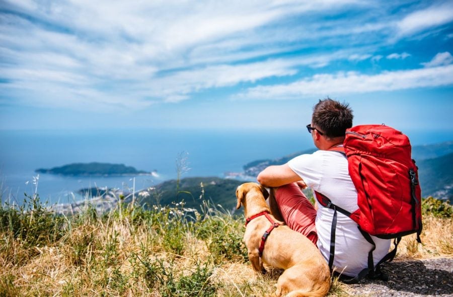 Mies ja koira katsomassa vuorelta merelle avautuvaa maisemaa.