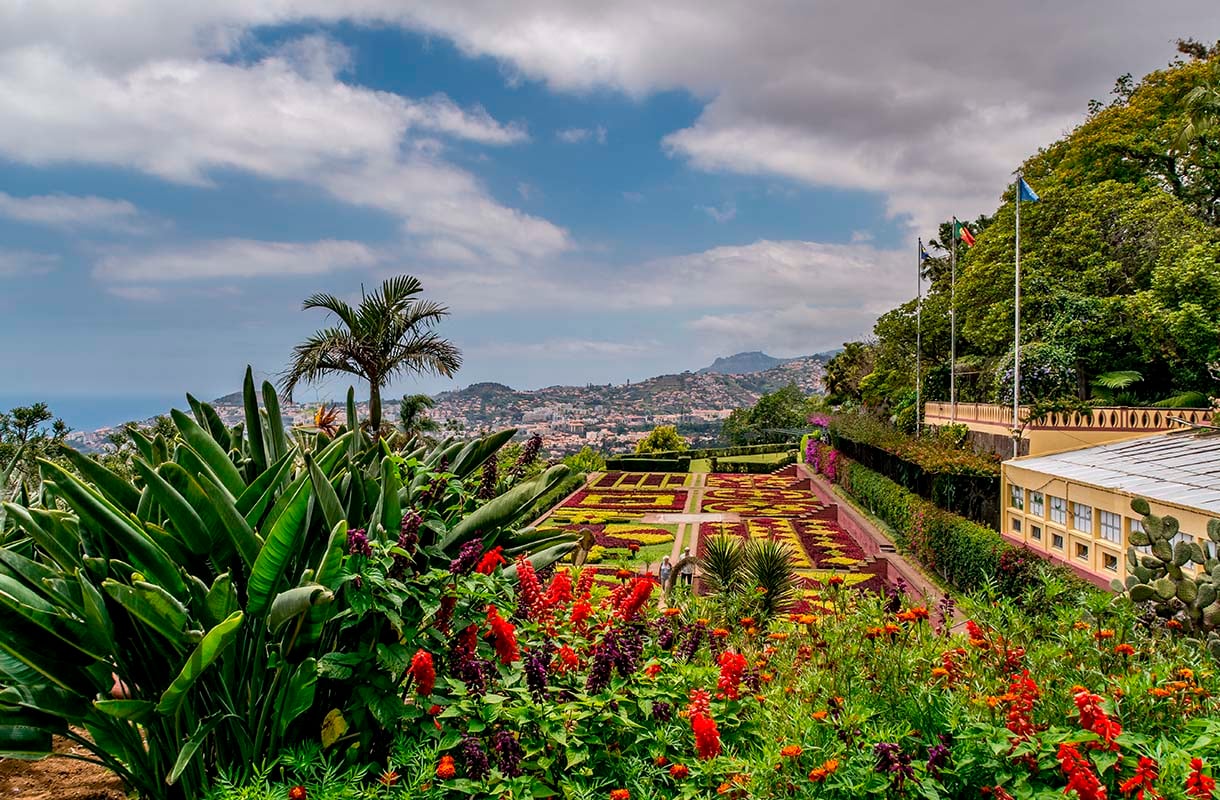 Madeiran kasvitieteellinen puutarha Jardim Botânico
