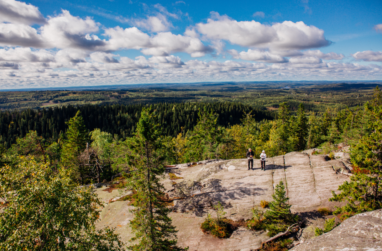 Koli, Suomi