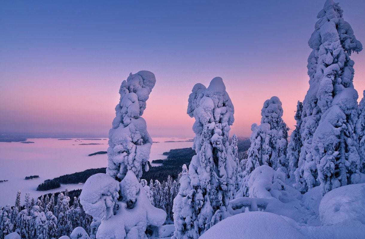 Koli, Suomi